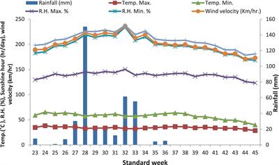 Agronomic biofortification of basmati rice (Oryza sativa L.) through iron and boron under varying seedling densities